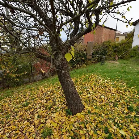 Bed & Breakfast Gli Acini