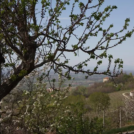Gli Acini Pietra de' Giorgi