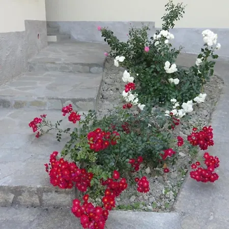 Gli Acini * Pietra dei Giorgi